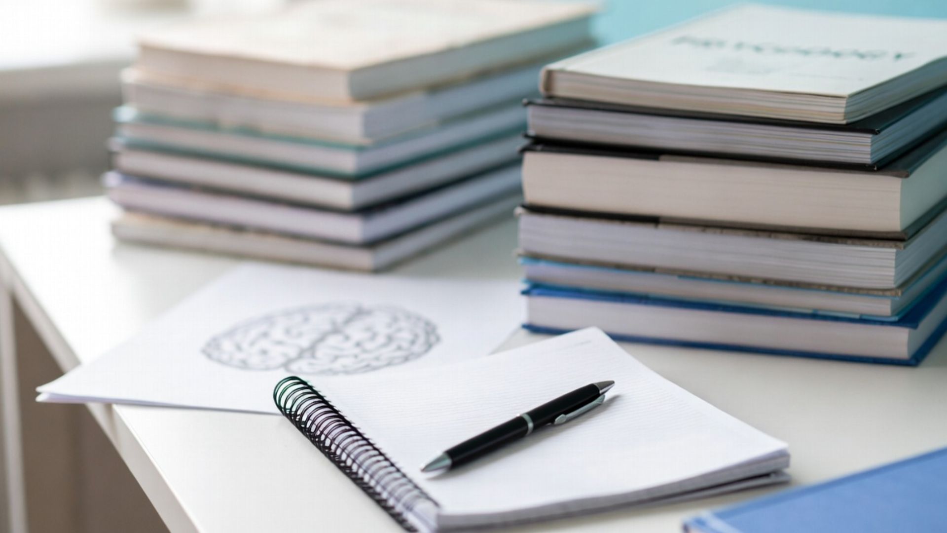 ignou mapc subjects